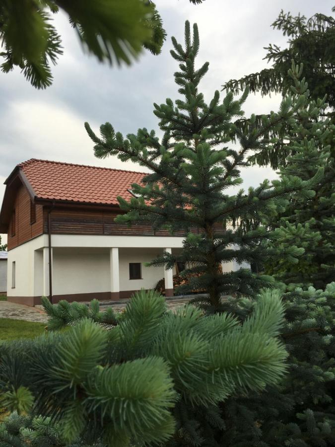 Pokoje Kasztanowa Wilkasy Zewnętrze zdjęcie