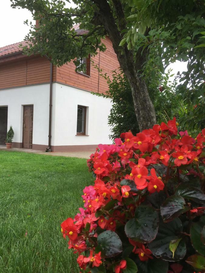 Pokoje Kasztanowa Wilkasy Zewnętrze zdjęcie